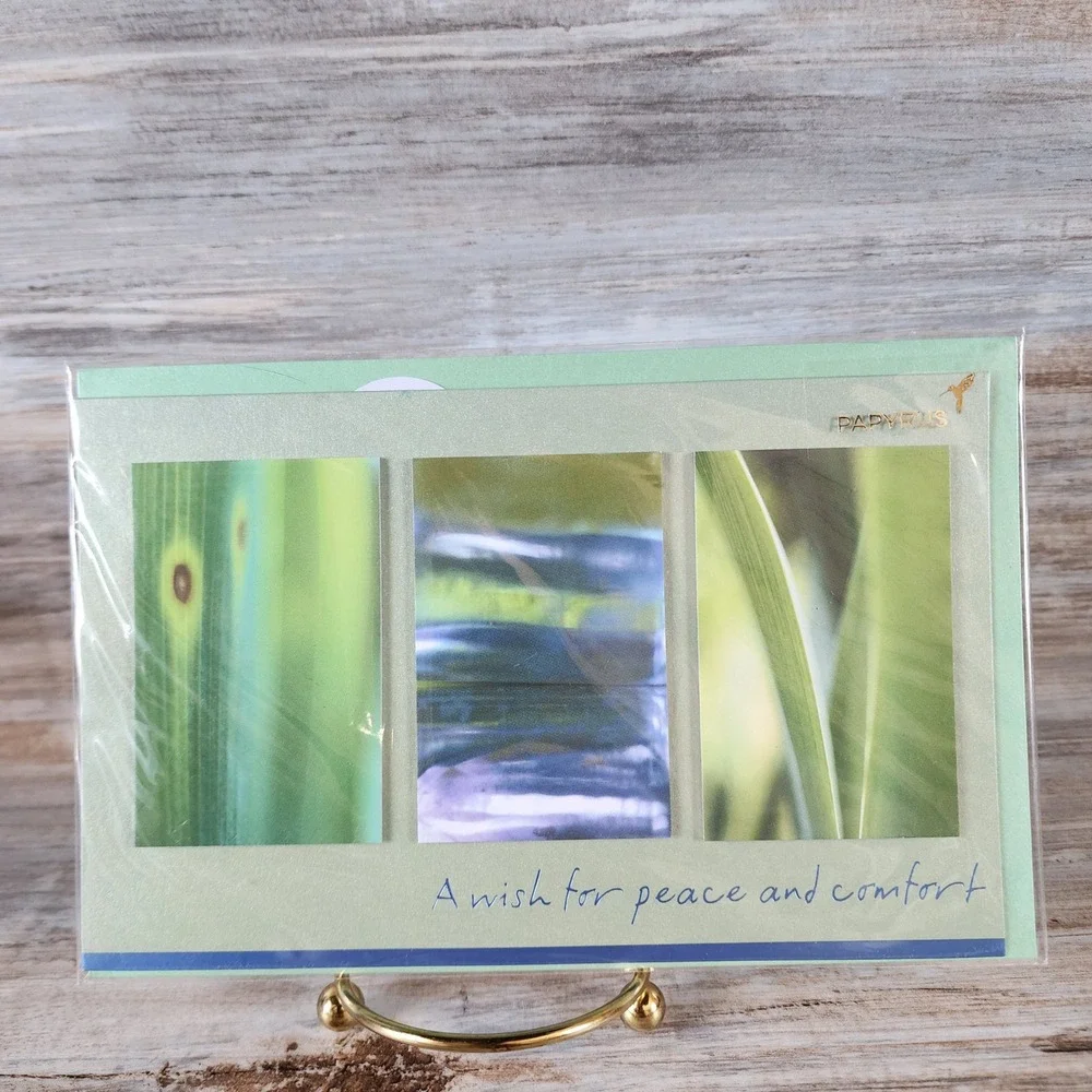 Papyrus Sympathy Card A Wish for Peace and Comfort Green Nature 07083410